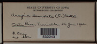 Image Associated With the Occurence